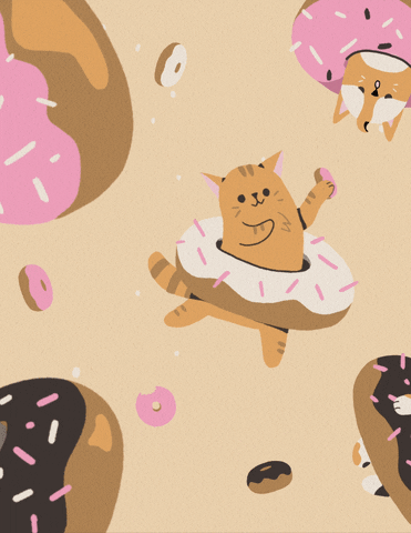Cats Donut GIF by Black Math