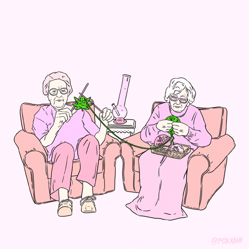 Fox Weed GIF by Animation Domination High-Def