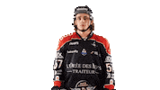 Celebration Goal Sticker by Les Ducs d'Angers