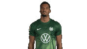 Germany No Sticker by VfL Wolfsburg