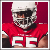 GIF by Arizona Cardinals