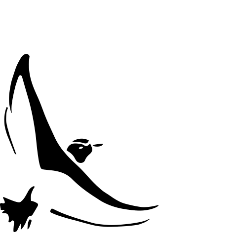 Beach Bird Sticker by Ecostore