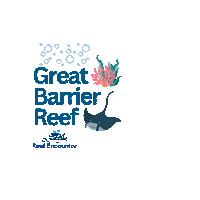 Reef_Experience diving coral gbr snorkel Sticker