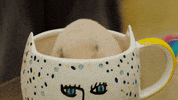 Loser Cheeze GIF by Magic Strawberry Sound