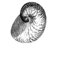 Natural History Illustration Sticker by The Wild Curiosity