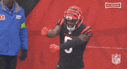 National Football League GIF by NFL