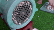 ExperimenMeatGrinder colorful satisfying meat experiment GIF