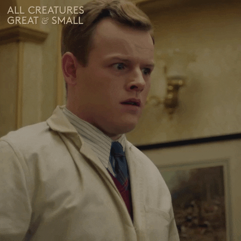 allcreaturestv animals escape hide run away GIF