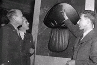 Plants Vs Zombies GIF