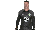Oh No Football Sticker by VfL Wolfsburg