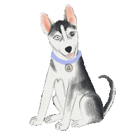 Dog Fruna Sticker by Mandalasparaelalma