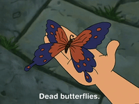 hey arnold nicksplat GIF