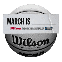 march madness win Sticker by Wilson Basketball