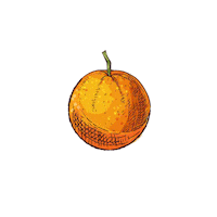 coffee tea Sticker