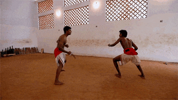 martial arts india GIF by Digg