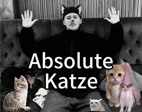 Katze GIF