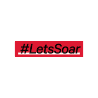 Soar Sticker by SEMissouriState