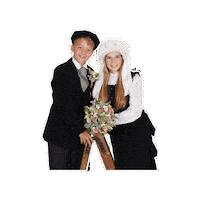 cvdebrookhaze carnaval vastelaovend koningslust brookhaze Sticker