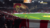 Football Soccer GIF by FC Spartak Moscow