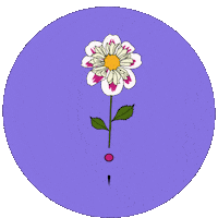 Kytka Vole Sticker