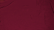 College Baseball GIF by Pearl River Athletics
