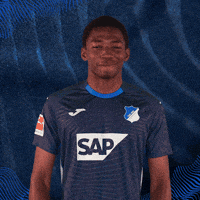 Sport Bundesliga GIF by TSG Hoffenheim