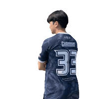 Football Sport Sticker