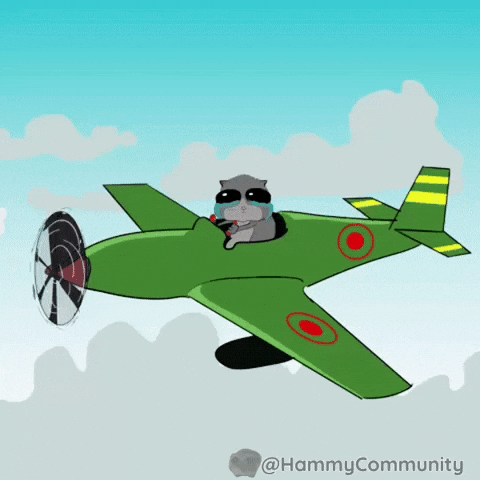 Cloud Plane GIF by Sad Hamster