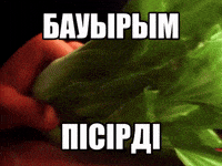 Қазақша Мемдер GIF