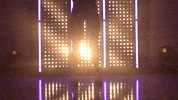 Washington Huskies Softball GIF by NCAA Championships