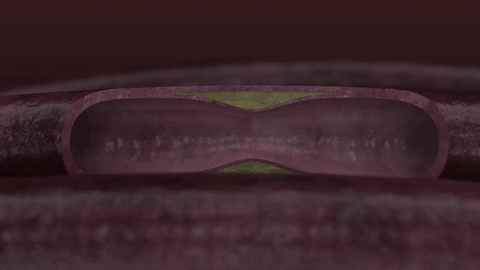 franciscosanchezcazeres giphyupload GIF