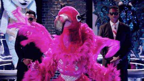 GIF by The Masked Singer