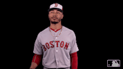 Red Sox Sport GIF by MLB