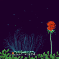Night Moon GIF