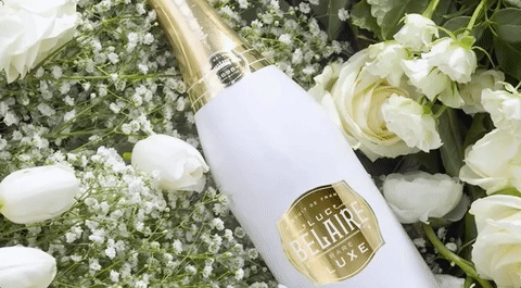 dj khaled bottle GIF by Luc Belaire