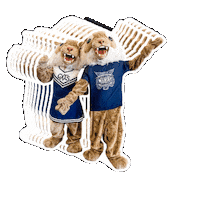 DallastownAreaSchoolDistrict dasd wildcat dtown wildcatnation Sticker