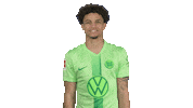 Football Lol Sticker by VfL Wolfsburg