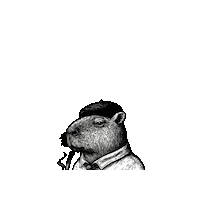 Agro Capivara Sticker by sthefanibioagreen