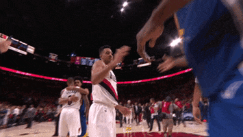 Nba Playoffs Hug GIF by NBA