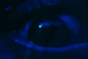 dubstep gifs GIF