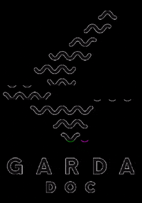GARDADOC garda doc GIF