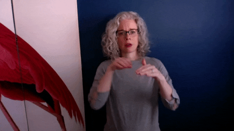 Sign Language Asl GIF