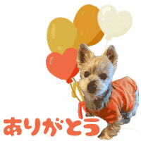 Idoldog Sticker