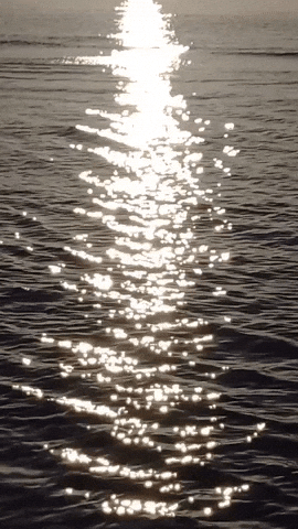 Simongip giphyupload GIF