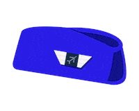 Cabin Crew Fly Sticker by IndiGo Airlines