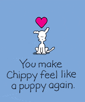 GIF by Chippy the dog