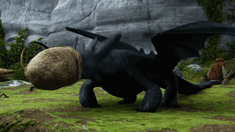 GIF by How To Train Your Dragon