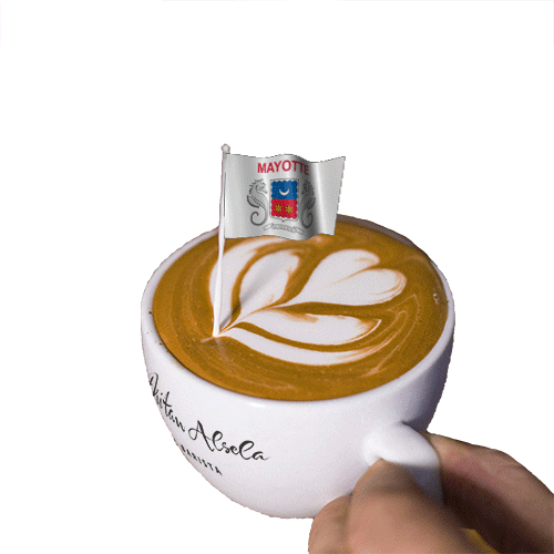 France Barista GIF by Dritan Alsela Coffee