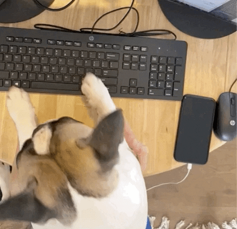 Work From Home Dog GIF by Julia Jennings