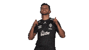 Werder Predator Sticker by Bundesliga